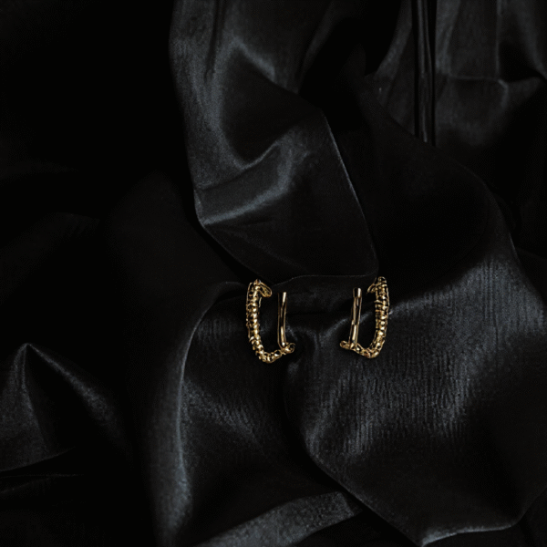 Luxe Hoops earrings